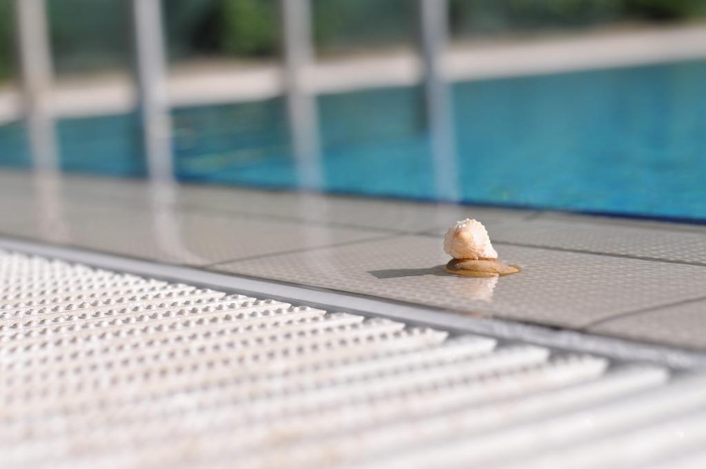 Aqua Wellness Apartments Hajdúszoboszló الغرفة الصورة